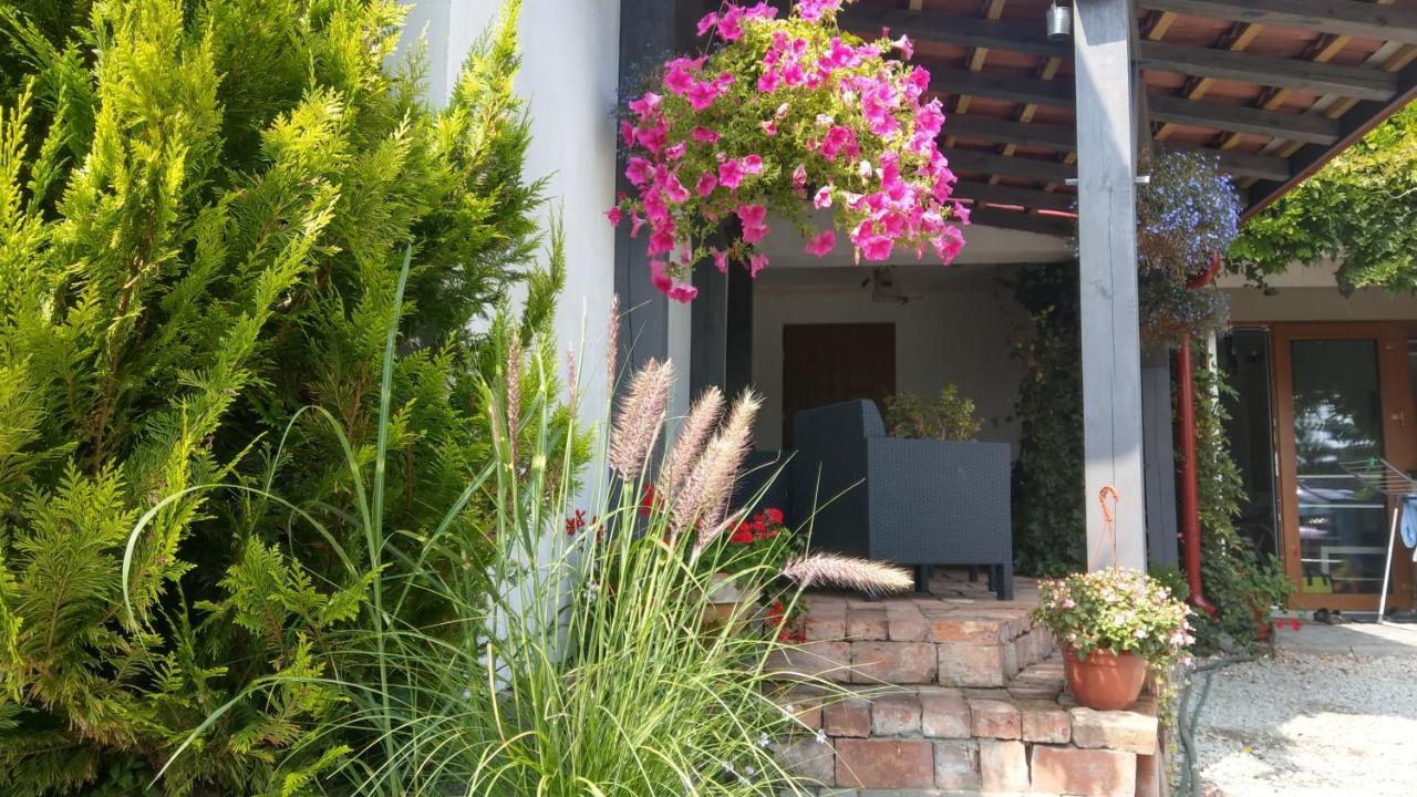 Kamien Baltyku Apartment Debina  Екстериор снимка
