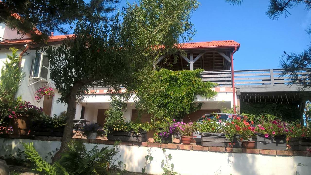 Kamien Baltyku Apartment Debina  Екстериор снимка